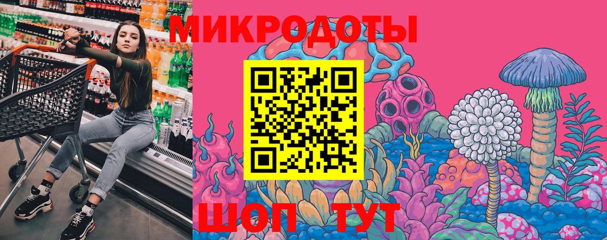 Галлюциногенные грибы Psilocybine cubensis Красноуфимск