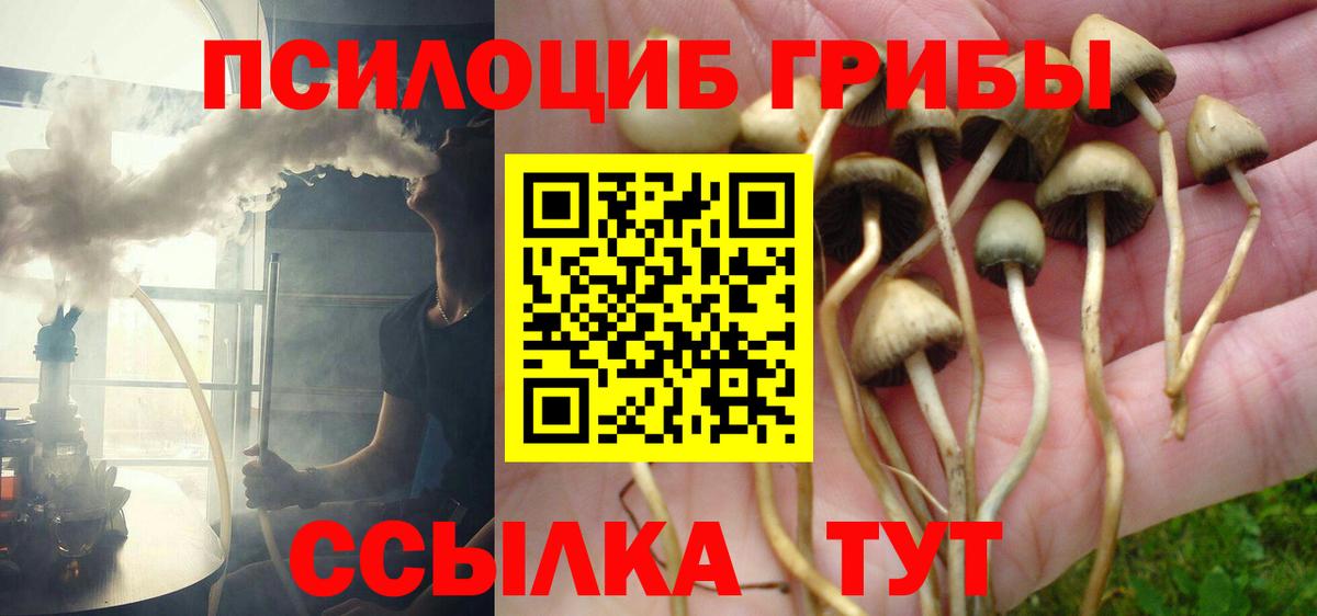 Галлюциногенные грибы Psilocybe  Вход с VPN  Красноуфимск 